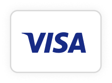 logo visa